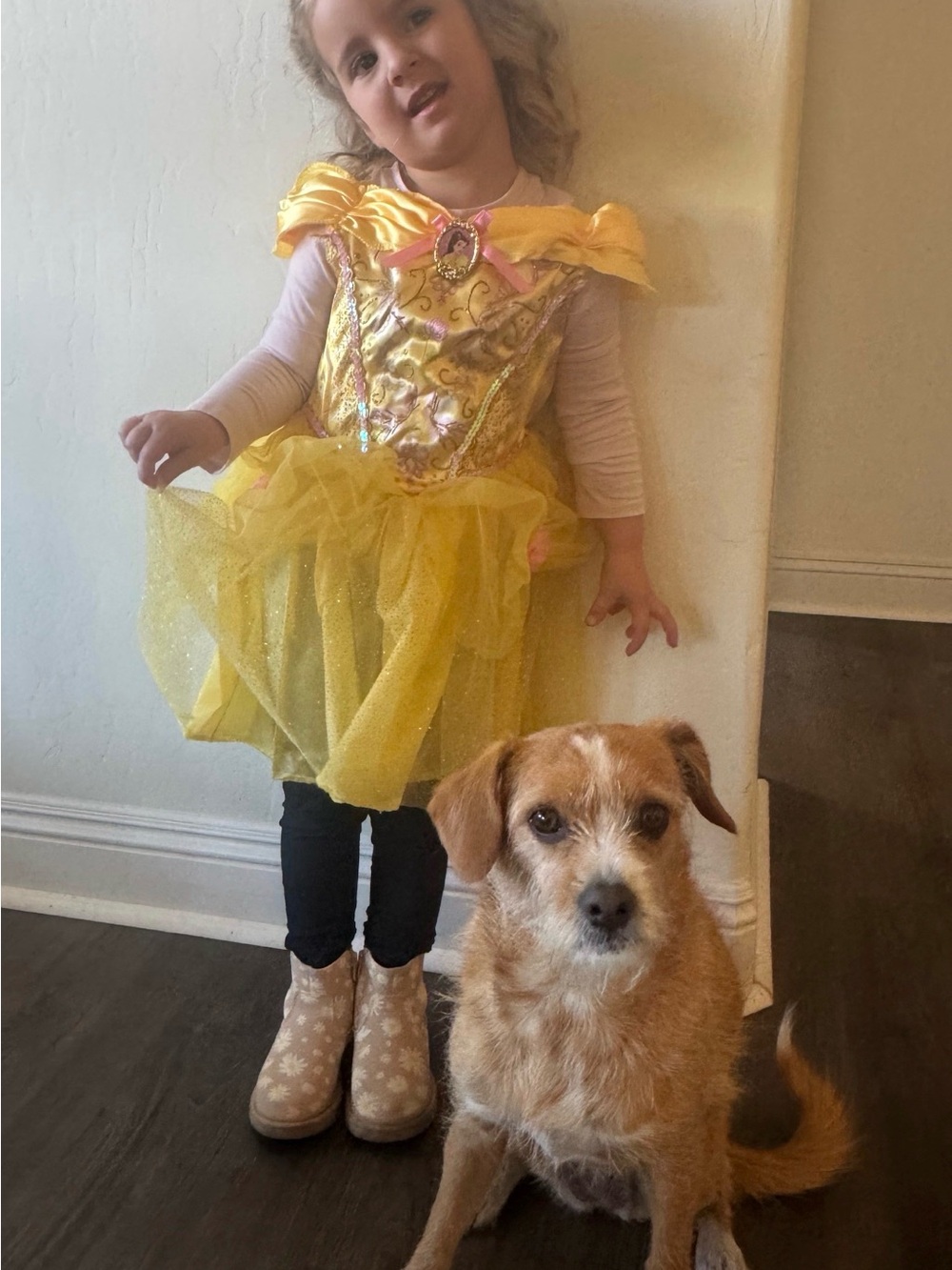 Belle Princess Tulle Dress-Up Costume for Kids